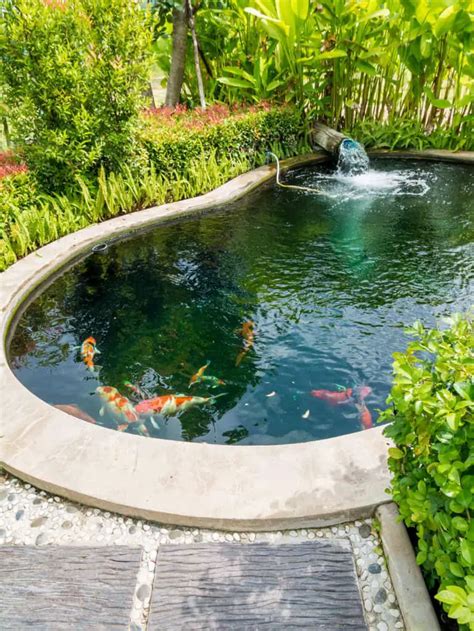 Koi Pond Window Frames And Glass Atlantica Gardens