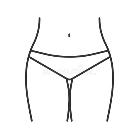 Bikini Zone Linear Icon Stock Vector Illustration Of Abdomen 175328573