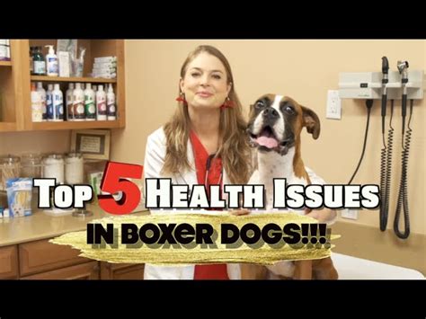 Top 5 Boxer dog Health Issues! | MUST WATCH - K9 Pie