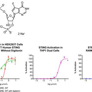 Structure Of STING Agonist TAK 676 A And In Vitro STING Activation By