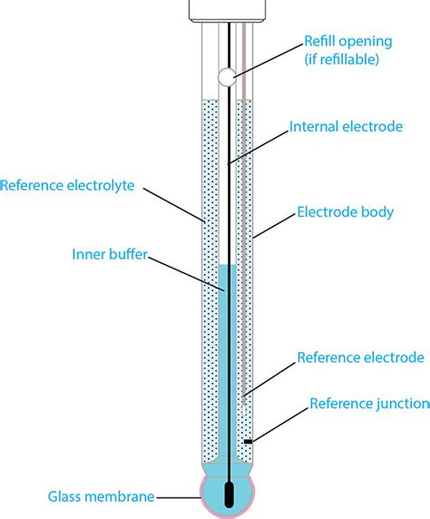 Glass Electrode Diagram