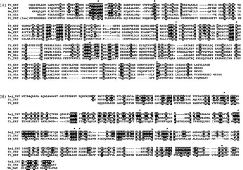 Comparison Of The Amino Acid Sequences Of The Putative T Brucei