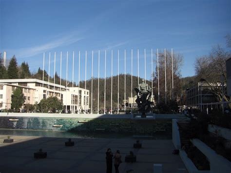 Universidad de Concepcion (Chile): Top Tips Before You Go (with Photos) - TripAdvisor