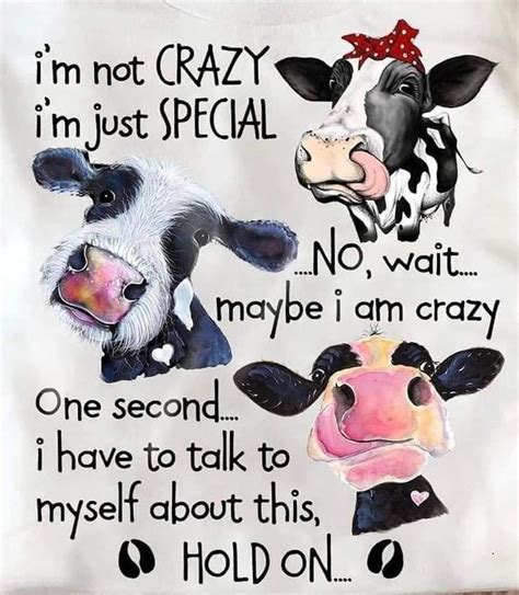 Funny Cow Quotes Im Not Crazy Im Just Special