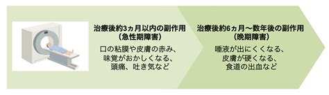 放射線療法 頭頸部がん Msd Oncology がんを生きる