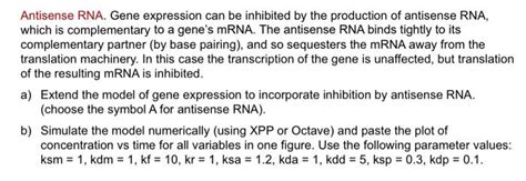 Antisense RNA. Gene expression can be inhibited by | Chegg.com