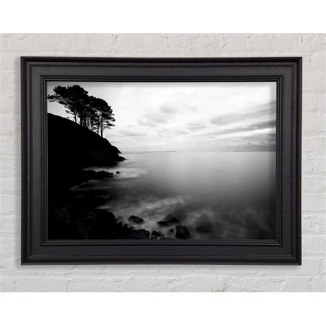 Haus Am Meer Gerahmtes Leinwandbild Tree Top Ocean Calm B N W Wayfair De