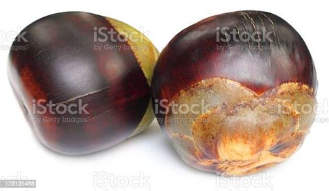 Tal Fruit Of Indian Subcontinent Stock Photo - Download Image Now - Apple - Fruit, Ice, Borassus ...