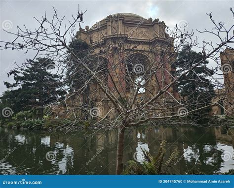 Palace Of Fine Arts And The Reflections Of The Great Architecture Inthe