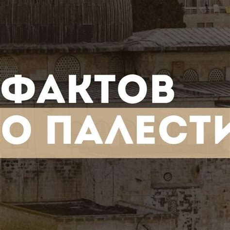 Знания по Исламу | Эксперт по монтажу on Instagram: "8 фактов о ...