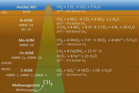 Frontiers Anthropogenic And Environmental Constraints On The Microbial Methane Cycle In