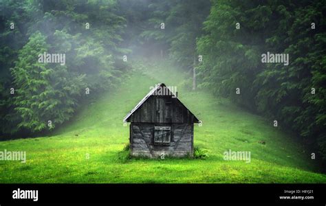 alone cabin in the woods Stock Photo - Alamy