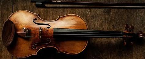 What Is A Violin The Structure And Functions Of The Violin Music 2025