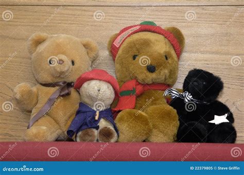 Teddyberen Stock Afbeelding Image Of Bruin Voorwerp 22379805