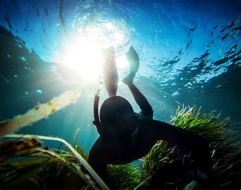 Fucile Subacqueo In Mare Per La Pesca In Apnea