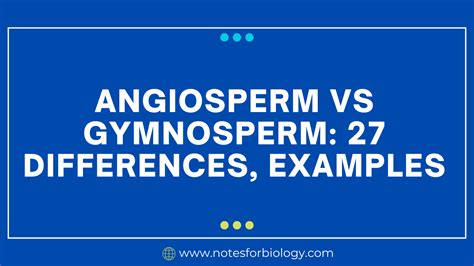 Angiosperm vs Gymnosperm