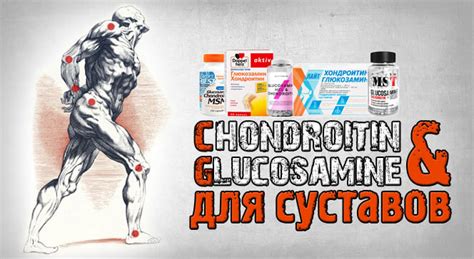 Хондроитин с глюкозамином для суставов: инструкция по применению