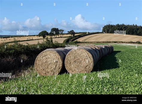 Landwirtschaft In Folge Fotos Und Bildmaterial In Hoher Aufl Sung Alamy