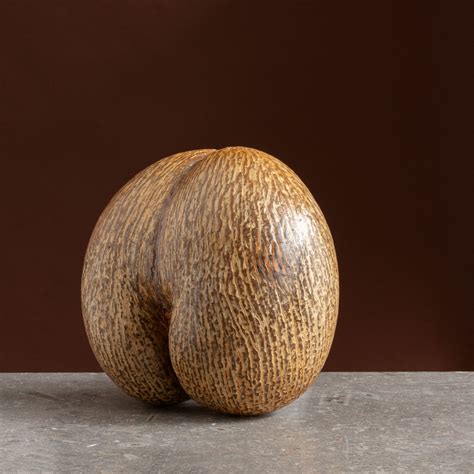 Pale Blonde Coco De Mer Nut Lassco England S Prime Resource For Architectural Antiques