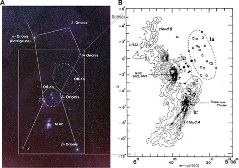 Orion Nebula Map