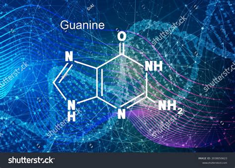 Chemical Structural Formula Guanine Dna Rna Stock Illustration 2038050623 Shutterstock