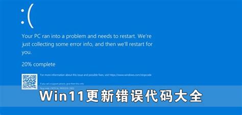 Win11更新错误代码大全 Win11升级失败出现错误代码汇总 系统之家