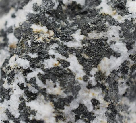 Raw Diorite Igneous Rock Specimen Approx 1 — Eisco Labs