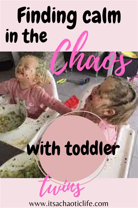 Finding Calm In The Chaos With Toddler Twins In 2022 Twin Toddlers