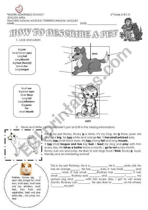 How To Describe A Pet Esl Worksheet By Susana Ascencio