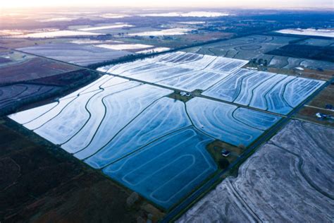 Crawfish Farm At Sunrise Paprika Studios