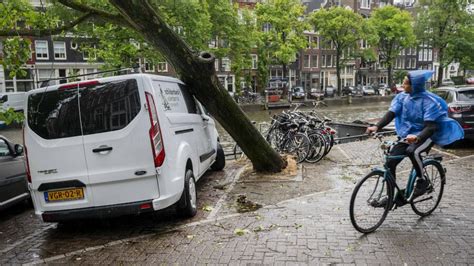 Sturmtief Poly Frau Von Einem Baum Erschlagen