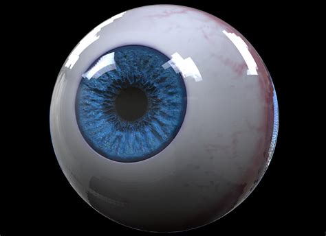 Realistic Eyeball Hd Model Turbosquid 1240843