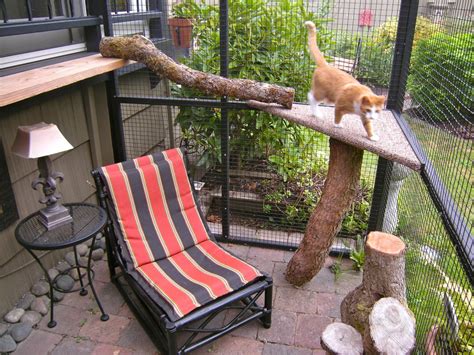 A Catio Is The Coolest Thing You Never Knew Your Cat Needed Apartment