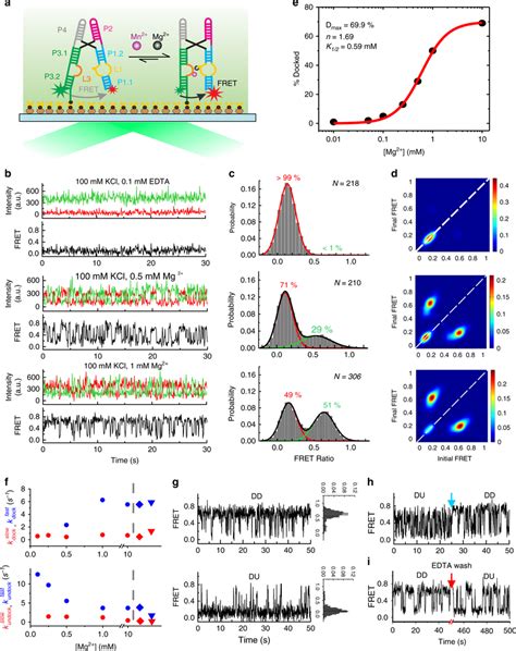 smFRET analysis of the WT Xory Mn² riboswitch a Schematic of the