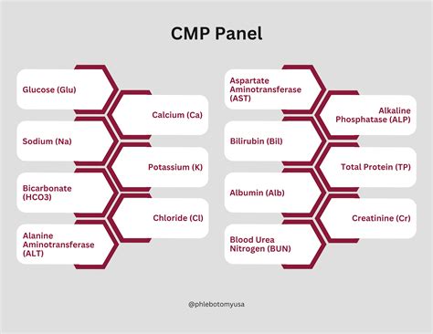 What Your CMP Results Are Telling You | Phlebotomy USA