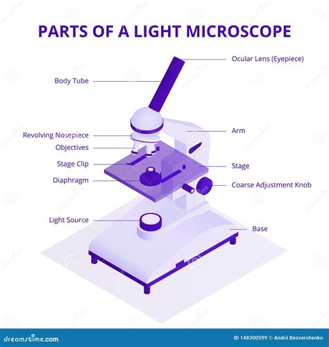 Illustrazione Isometrica Del Microscopio Con Gli Elementi Infographic