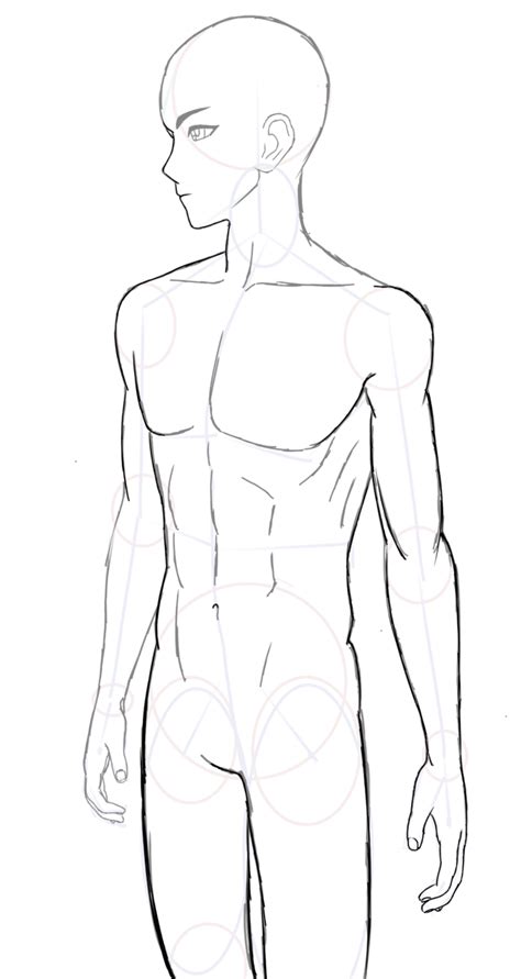 Anime Muscle Anatomy