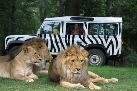 Longleat - Discover Frome