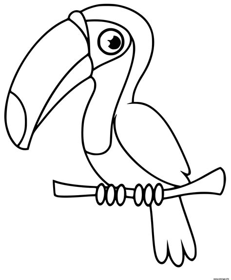 Coloriage Oiseau Toucan Toco Maternelle Jecolorie