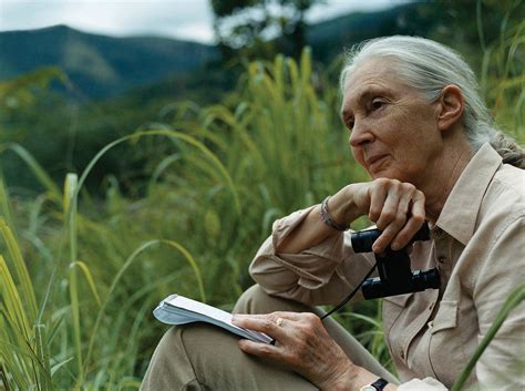 Jane Goodall Can Draw A Crowd Alumni Association University Of