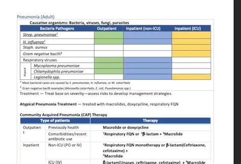 Antibiotics Cheat Sheet Etsy