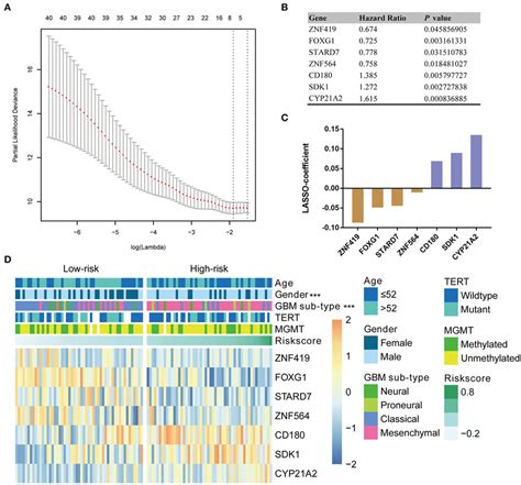 Identification Of A Seven Gene Risk Signature For OS By LASSO