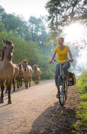 Fietsen In De Achterhoek Fietsknooppunten Route Vanuit Zutphen Artofit