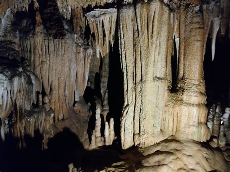 Caves In Florida Florida Caverns State Park Marianna Fl Oc