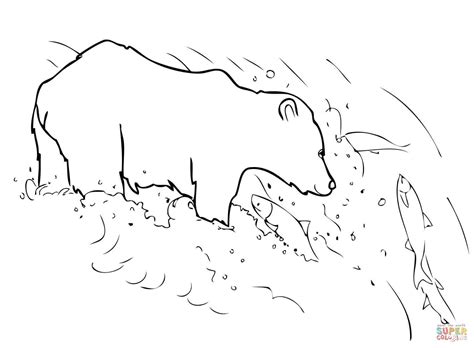 Grizzly Bear Is Fishing Coloring Page Free Printable Coloring Pages