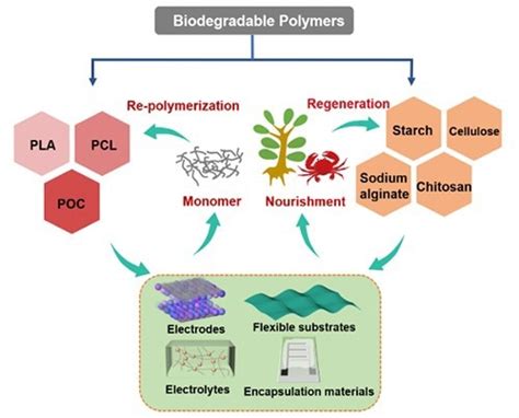 Biodegradable Polymers Proven Effective For Supercapacitors