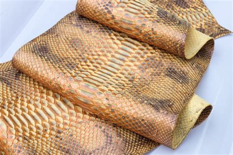 Genuine Python Snakeskin Leather Snake Skin Texture Background