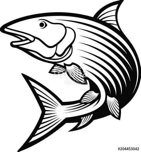 Bonefish Drawing Free Download On Clipartmag