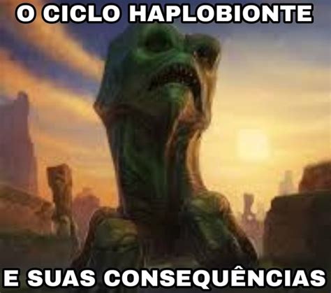 Ciclo Haplobionte E Suas Consequ Ncias Ifunny Brazil