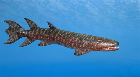 Top 10 Prehistoric Fish Enkivillage